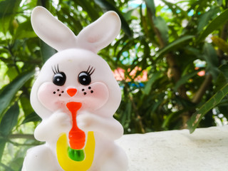 Toy Rabbit of small size in white color and have black eyes.