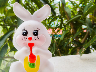 Toy Rabbit of small size in white color and have black eyes.