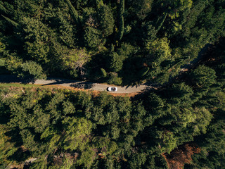 A white convertible drives through the woods, along a paved road, among tall trees. Aerial top view.
