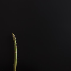 Green wild asparagus