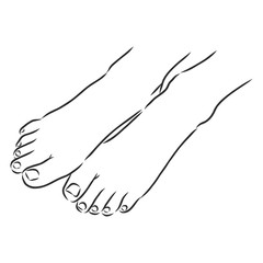 Human woman bared feet line drawing. Vector illustration sketch