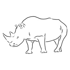 African rhinoceros Wild animal sketch, ink. Vector illustration for label. safari symbol.