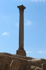 Top of Serapeum and Pompey`s Pillar.
