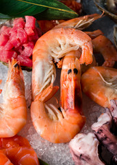 Shrimp Sea Food