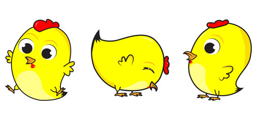 chicken and chick cartoon