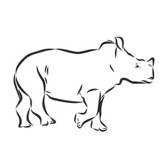African rhinoceros Wild animal sketch, ink. Vector illustration for label. safari symbol.