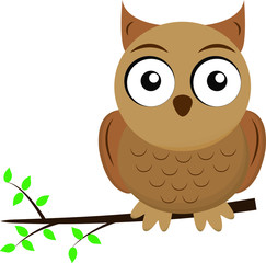 owl on a white background sits on the branch of tree 