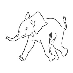 Baby elephant in outline style isolated on white background, vector illustration