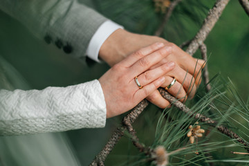 Wedding rings on wedding day	