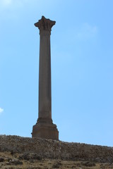 Top of Serapeum and Pompey`s Pillar.
