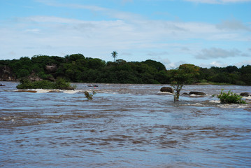 Fototapeta premium Rio Orinoco, Puerto Ayacucho, Estado Amazonas Sur de Venezuela