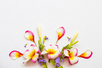 colorful flowers frangipani with purple flowers local flora of asia in spring season arrangement flat lay postcard style on background white 