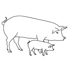 Outline drawing pig mom and pig, coloring page for kids learning, zoology and farm for toddlers, animal parents and kids vector illustration