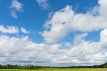 White clouds in the blue sky over a green field. Natural background.