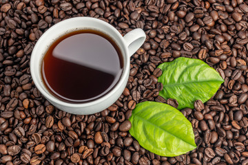 White cup with freshly brewed aromatic coffee on the background of coffee beans