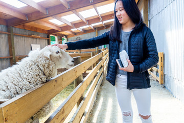 Girls feeding farm animals out of hand through fence on a farm.