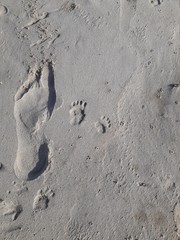 Footprints in the sand