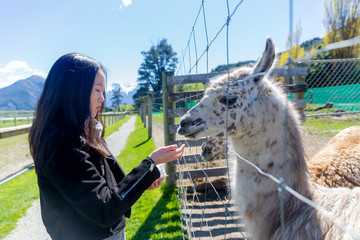 Girls feeding farm animals out of hand through fence on a farm.