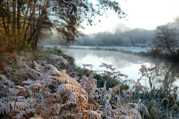 Morning mist and frost on the River Wey, Surrey, on a cold winter's morning