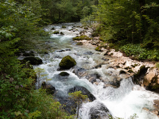 Powerful river flowing through gorge surrounded by rock and forest