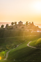 Atmospheric view of beautiful vineyard hills and the 