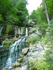 Gorge with waterfall streaming down surrounded by forest