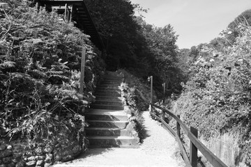 A country walk through the Shanklin Chine in the Isle of Wight.