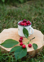 a cup with cherries, an old book, a summer straw hat on a background of green grass in the garden. Summer concept