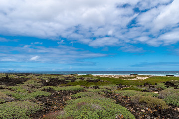Rocky beach at Caleton Blanco in Lanzarote, Canary Islands