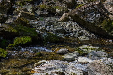 little flowing creek with rocks