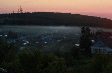 закат, цветы