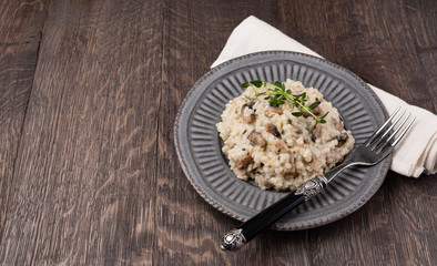 Mushroom risotto on plate, close up view