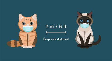 Keep safe distance two meters or six feets. Coronavirus infection spreading prevention information sign with british cat and siamese cat in medical masks. Vector illustration for children