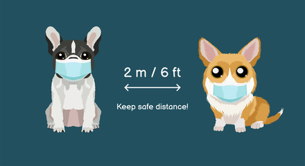 Keep safe distance two meters or six feets.  Coronavirus infection spreading prevention information sign with welsh corgi and french bulldog in medical masks. Vector illustration for children