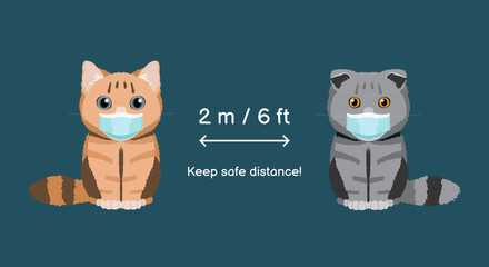 Keep safe distance two meters or six feets.  Coronavirus infection spreading prevention information sign with british cat and scottish fold in medical masks. Vector illustration for children