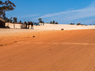 Fototapeta na wymiar Senegal, Africa