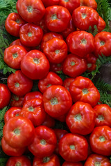 A lot of fresh organic red tomatoes at the local farmers market, healthy eco product, wide vertical banner background wallpaper. Selective focus at tomatoes