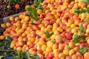 Large ripe fresh organic apricots available for sale at a rural food market, apricots piled in heaps on a market stall, natural organic background with soft focus