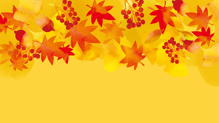 Naklejka na ściany i meble 秋の紅葉の背景素材