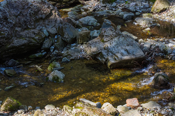 shady and sunny places in a creek