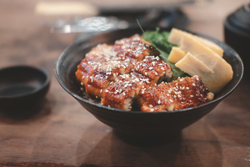Japanese eel grilled with rice or Unagi don set on bowl
