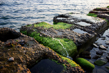 Small concrete slabs on the beach. Breakwaters in which there are small holes. Partially covered with green moss/algae. The waves of the beautiful sea hit them. Summer evening.