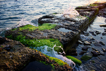 Small concrete slabs on the beach. Breakwaters in which there are small holes. Partially covered with green moss/algae. The waves of the beautiful sea hit them. Summer evening.