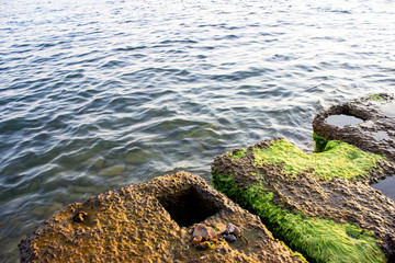 Small concrete slabs on the beach. Breakwaters in which there are small holes. Partially covered with green moss/algae. The waves of the beautiful sea hit them. Summer evening.