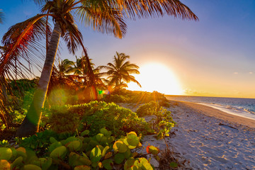 romantic sunset beach on the Caribbean island of Anguilla