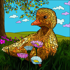 Colouring page duck on the meadow