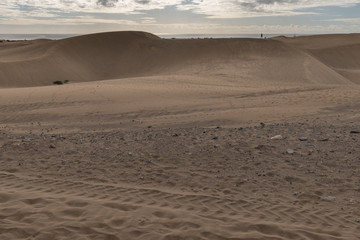 Sanddüne von Maspalomas Gran Canaria
