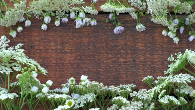 White meadow flowers laying on vintage brown wooden background. Top view flatlay 4k video backdrop with empty copy space for your design.