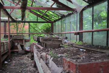 Fototapeta na wymiar wooden boxes in the greenhouse