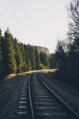 Railway to the Woods